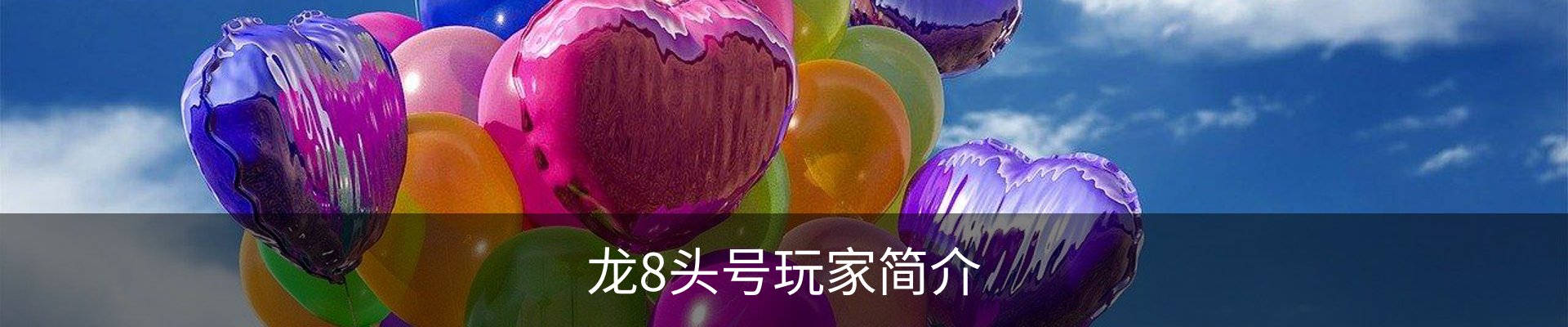 龙8头号玩家简介
